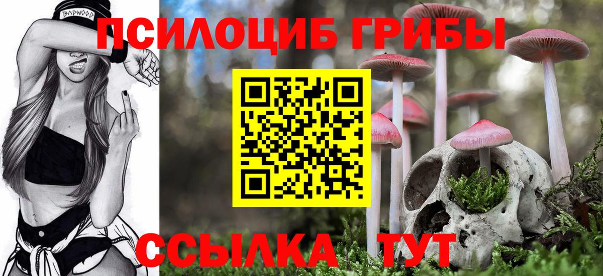 Галлюциногенные грибы Cubensis Киреевск