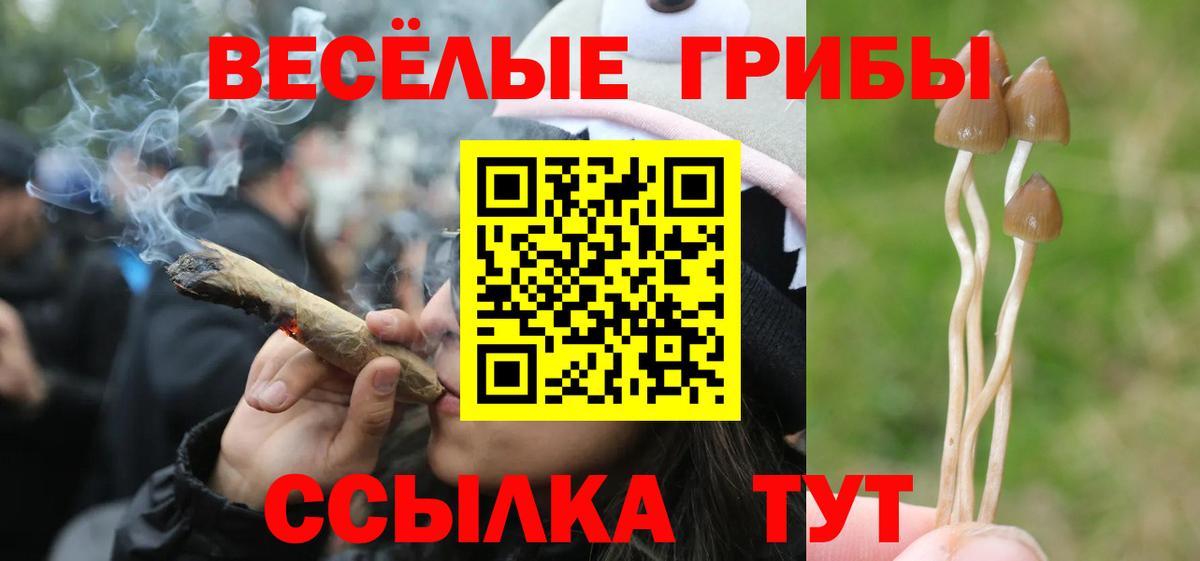 Киреевск  Галлюциногенные грибы Cubensis  Вход с VPN 